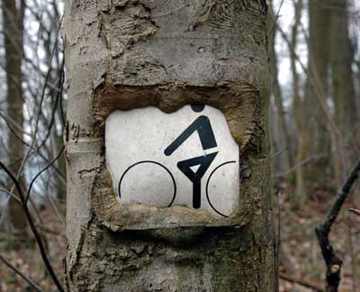 radschild.jpg